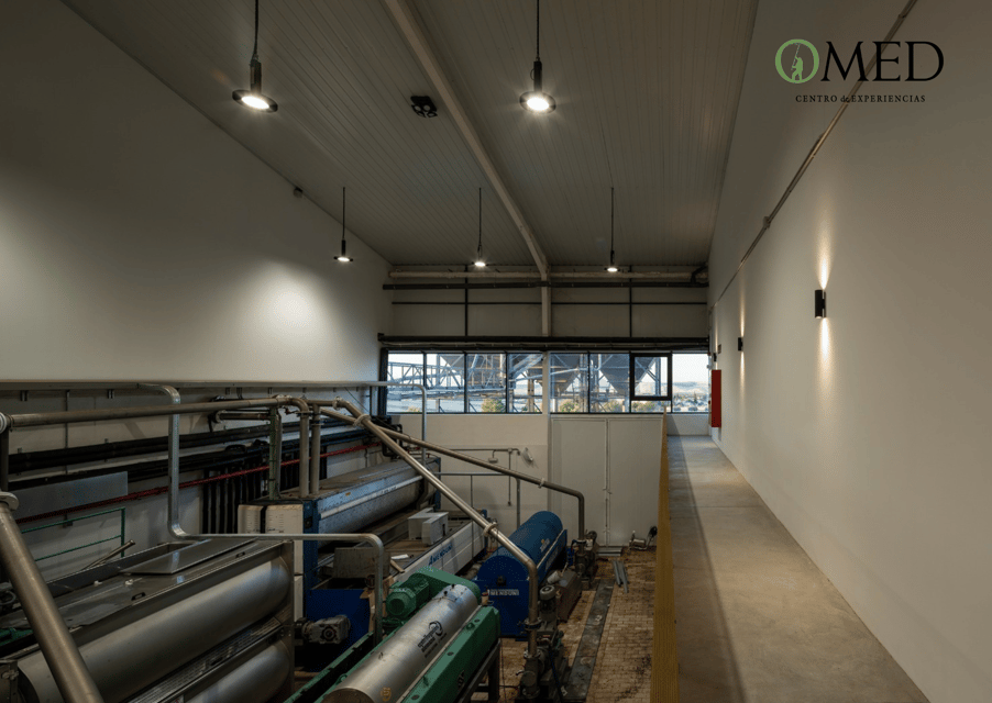 Granada in Evoo: Guided Tour and Unique Sensorial Tasting - Tasting Session Details