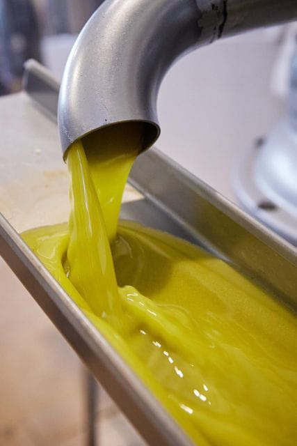 Granada in Evoo: Guided Tour and Unique Sensorial Tasting - Participant Information