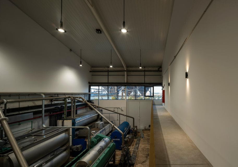 Granada in Evoo: Olive Grove Guided Tour and Sensory Tasting - Things To Know