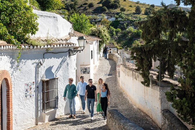 Granada in One Day with Optional Alhambra from Malaga - Price and Logistics: Good value with a few considerations