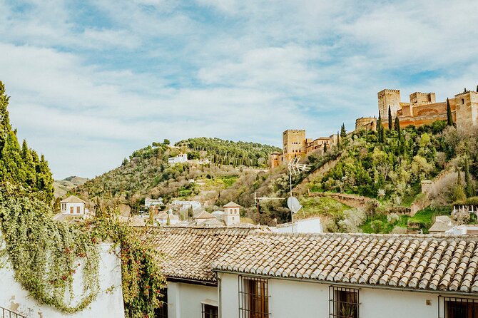Granada in the Evening: Viewpoints Tour - Accessibility Information