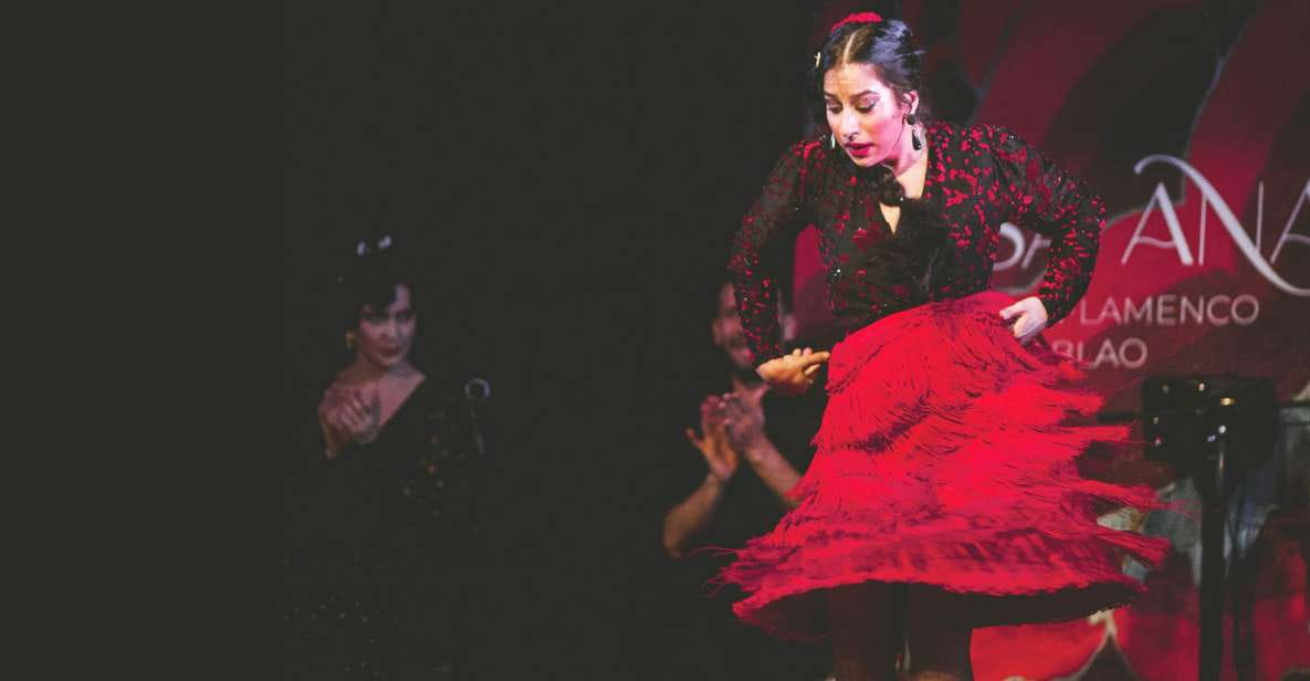 Granada: Live Flamenco Show at Casa Ana Entry Ticket - Accessibility Features
