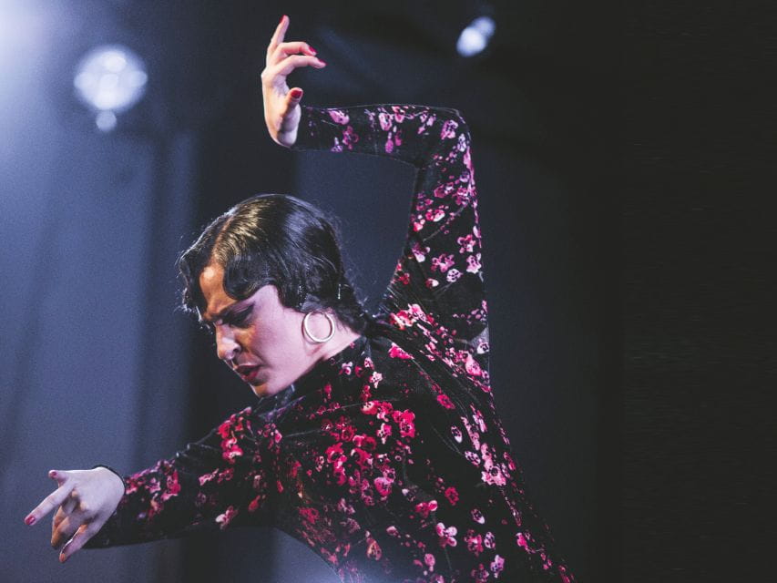 Granada: Live Flamenco Show at Casa Ana Entry Ticket - Things To Know
