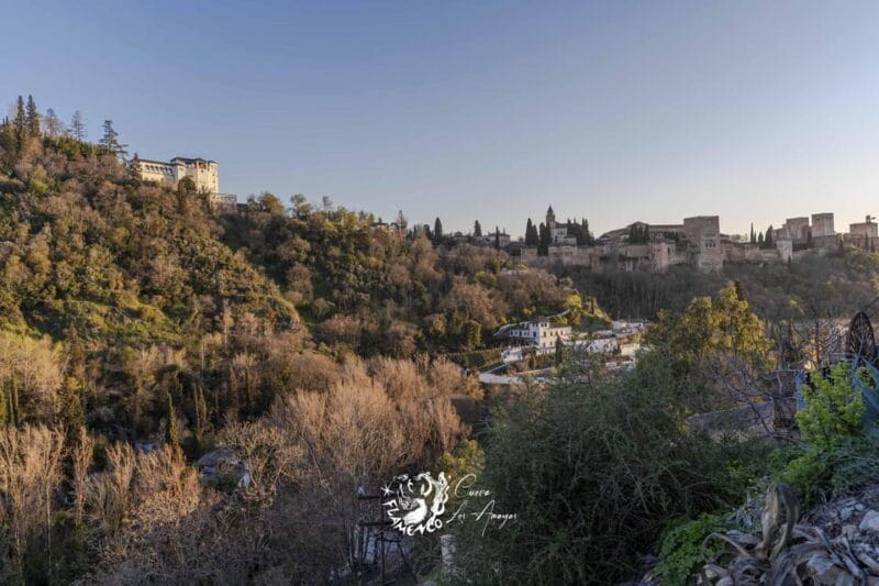 Granada: Los Amayas Cave Traditional Flamenco Show - How the Show Compares to Other Flamenco Experiences