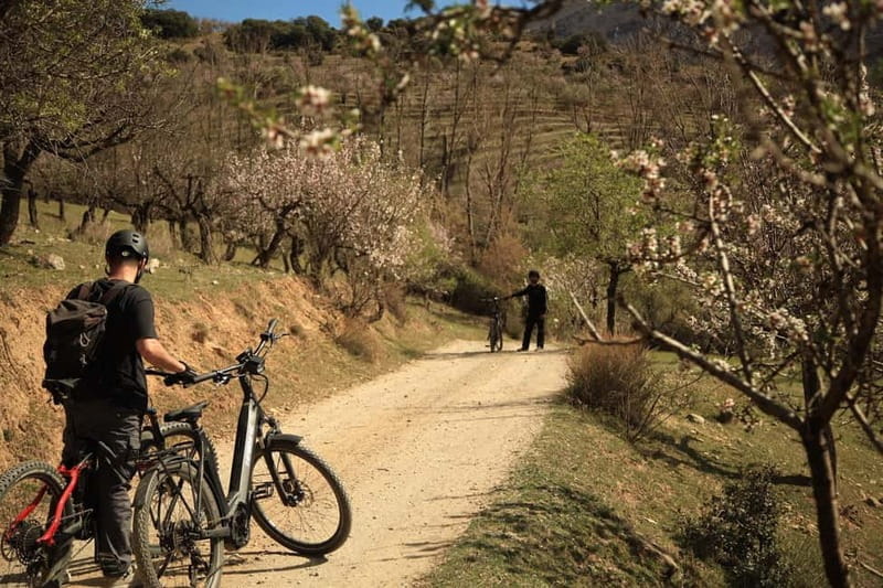 Granada: Nature, Wildlife and Authentic Villages E-bike Tour - Price and Value