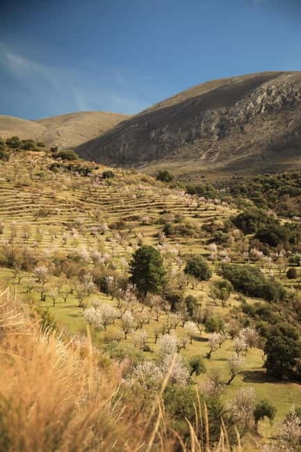 Granada: Nature, Wildlife and Authentic Villages E-bike Tour - Who This Tour Is Best For