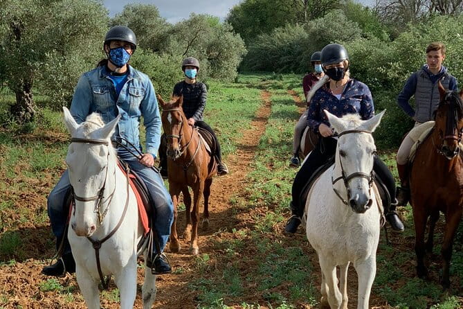 Granada & Sierra Nevada Horse Riding Tour - Who Will Love This Experience?