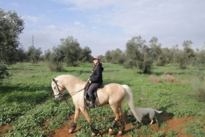 Granada & Sierra Nevada Horse Riding Tour - FAQ