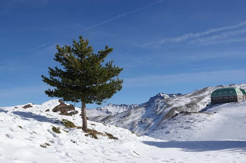 Granada: Sierra Nevada Safari Tour to 2500 m with a Drink - Final Thoughts