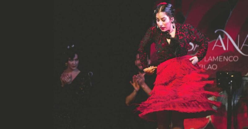 Granada: Traditional Flamenco Show at Tablao Casa Ana - Who Will Love This?