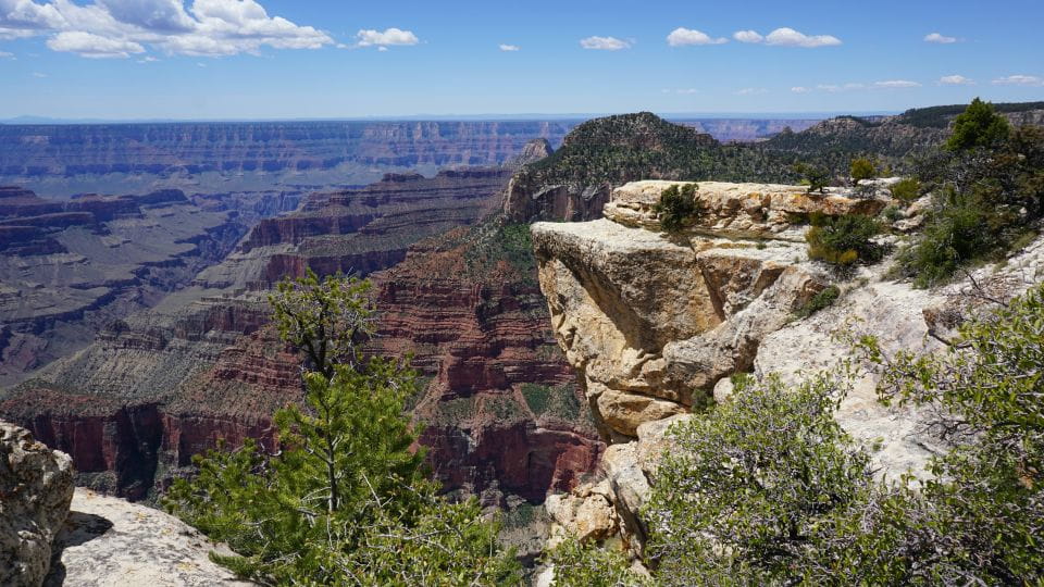 Grand Canyon: North Rim Private Group Tour From Las Vegas - Highlights of the Tour