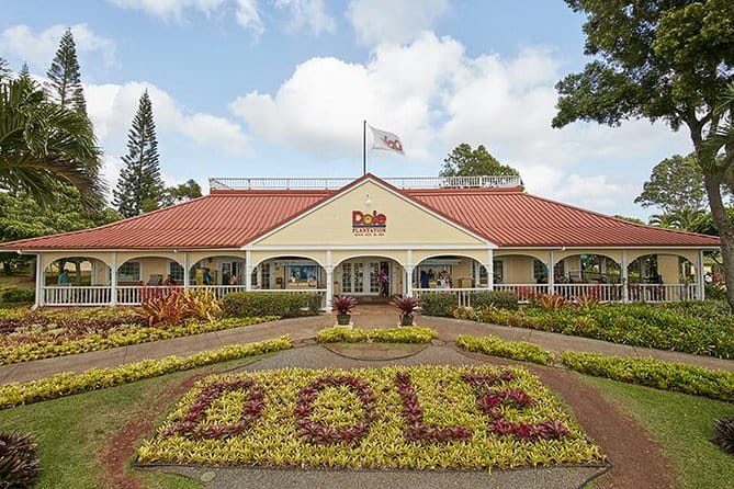 Grand Circle Island and Haleiwa 9 Hour Tour - Important Information