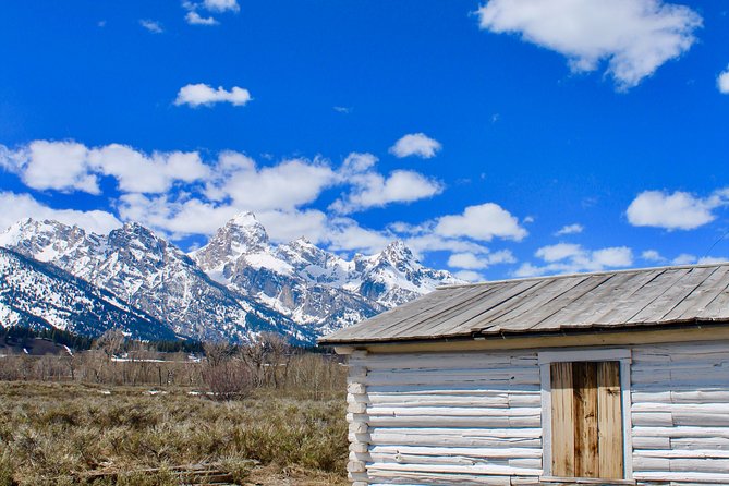 Grand Teton Half Day Tour - Naturalist Guide-Led Experiences