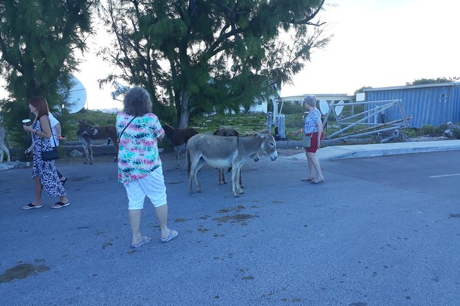 Grand Turk Island Wide Private Tour - Vendor Reliability Issues