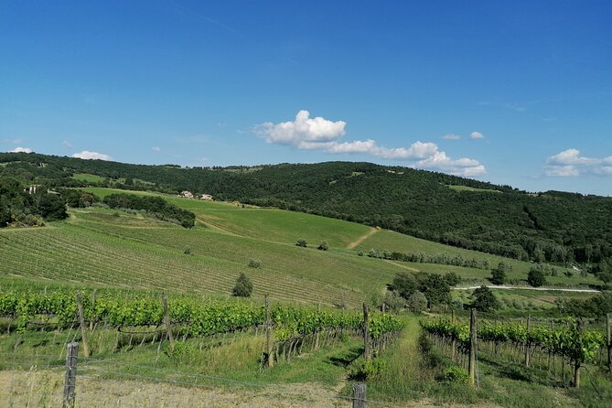 Grand Tuscany Tour From Florence in Vintage Fiat 500 With a Private Driver - Family-run Farm and Winery