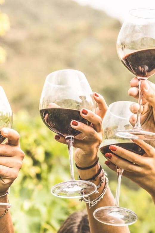 Grape Escapes Full-Day Wine Tour in Ithaca - Winery Visits