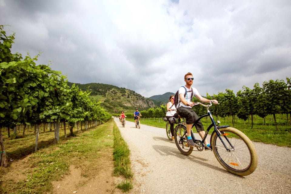 Grape Grazing: Wachau Valley Winery Biking Tour - Biking Through the Wachau Valley