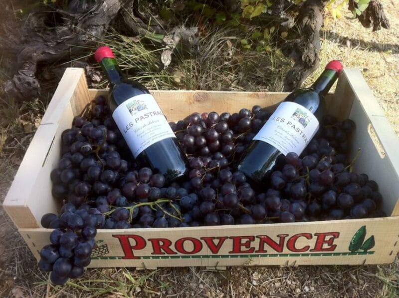 Grape Stomping in Provence - FAQ