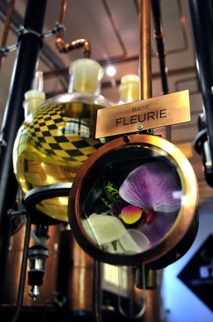 Grasse: Perfume Workshop - Key Points/Takeaways