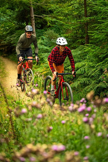 Gravel Bike Ride Dublin - Key points / Takeaways