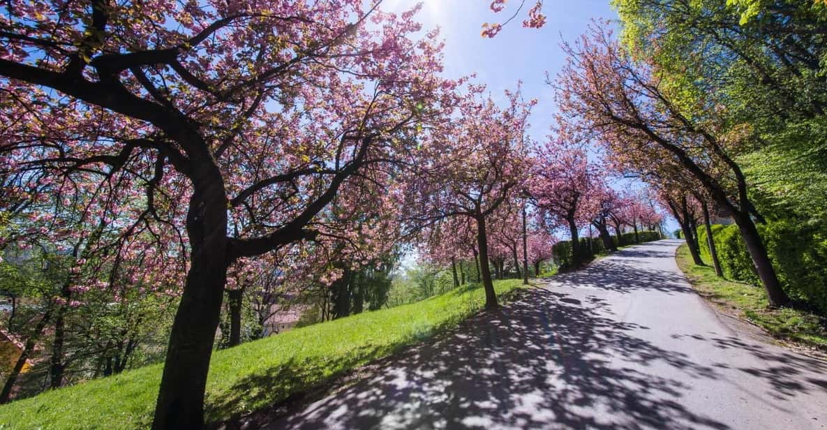 Graz: Insta-Perfect Walk With a Local - Experience Highlights