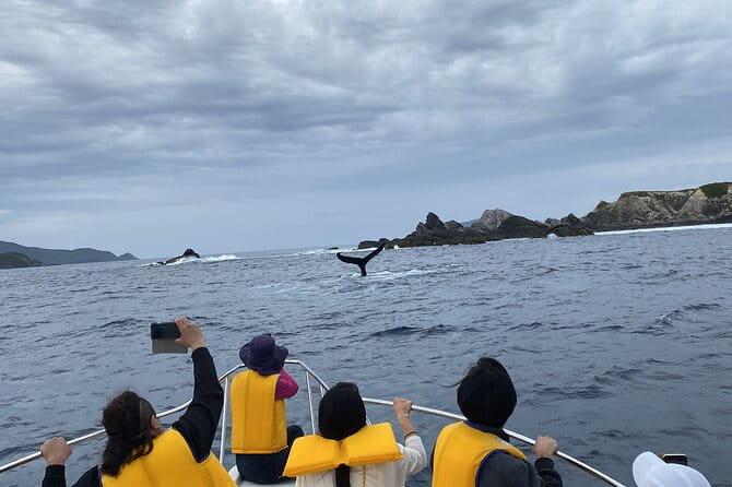 Great Whale Watching at Kerama Islands and Zamami Island - Overnight Opportunities