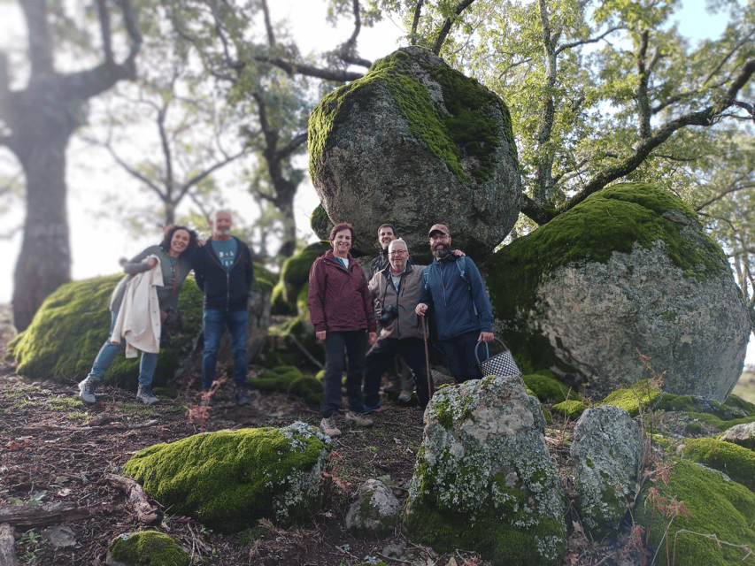 Gredos: Guided Hike in the Vettón Forest - Highlights of the Experience