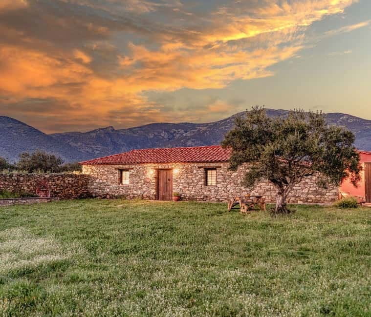 Greece in a Drop: Olive Grove Walk and Olive Oil Tasting - Discovering the Heart of Greece’s Olive Heritage