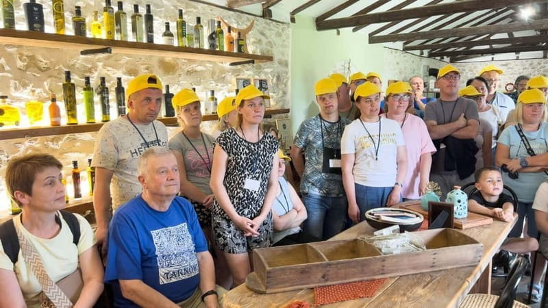 Greece in a Drop: Olive Grove Walk and Olive Oil Tasting - Final Thoughts