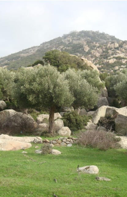 Greece: Private Olive Oil Tasting and Corinth Canal Tour - Greece: Private Olive Oil Tasting and Corinth Canal Tour — A Balance of Culture, Flavors, and Scenery