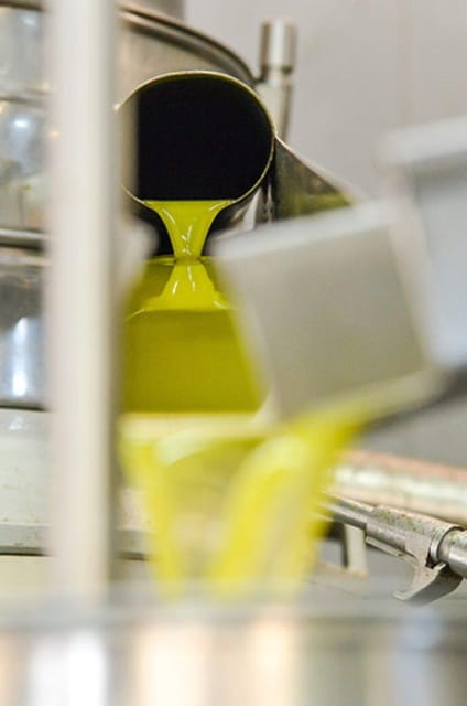 Greece: Private Olive Oil Tasting and Corinth Canal Tour - Final Words of Wisdom