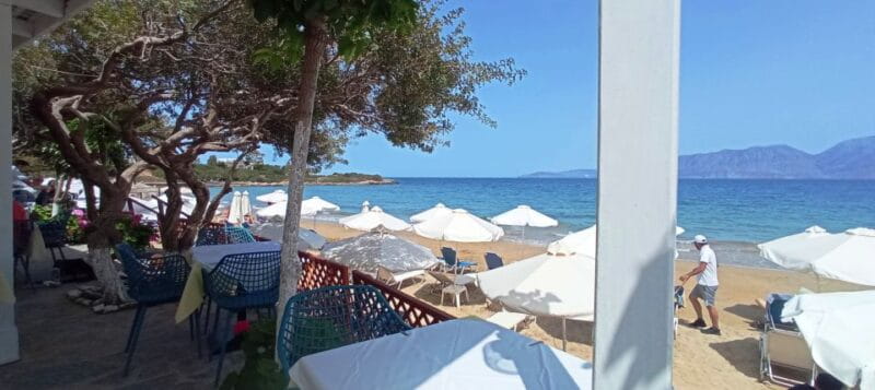 Greek food tasting experience - Final Thoughts