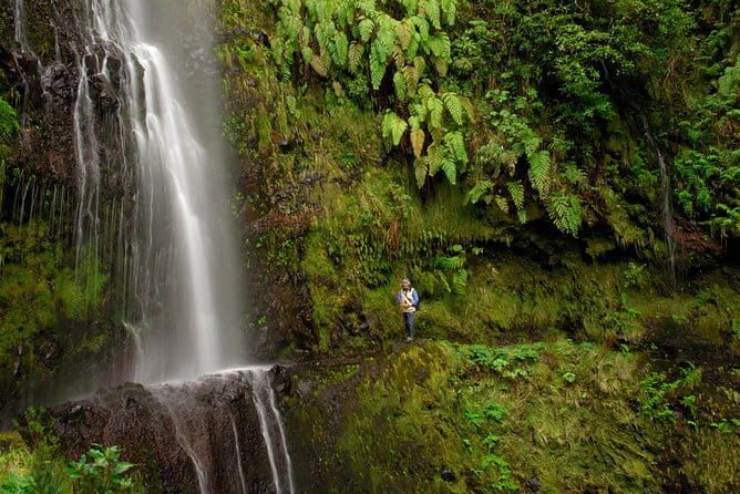 Green Cauldron - Final Thoughts