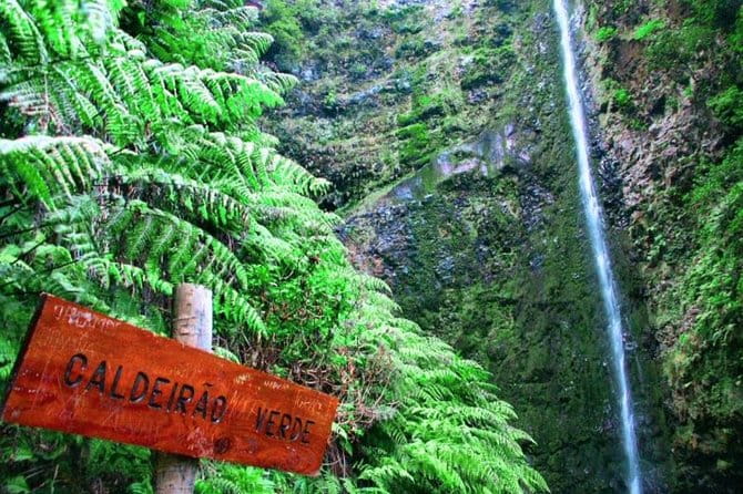 Green Cauldron - FAQs