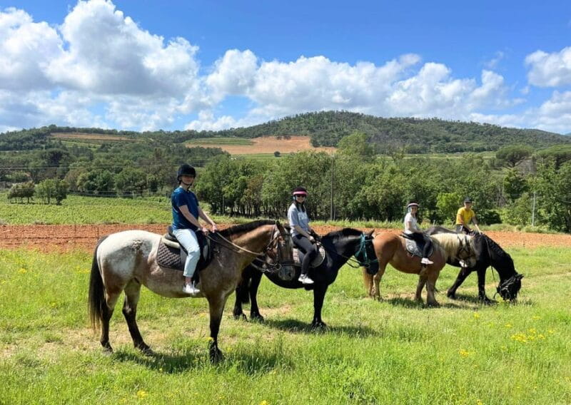 Grimaud: Horseback Riding & Wine Tasting in Maures Forest - Entering the Heart of Provence: The Itinerary Breakdown