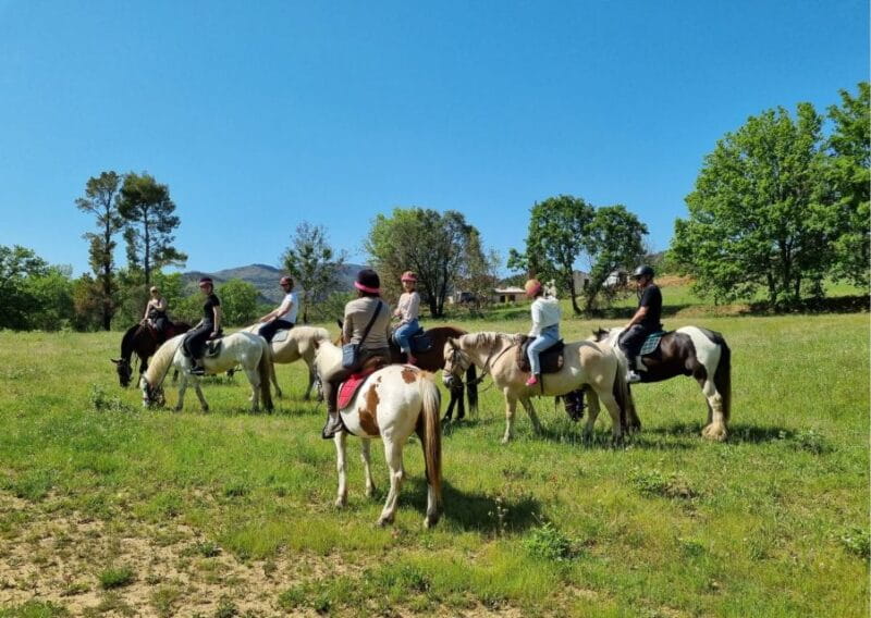 Grimaud: Horseback Riding & Wine Tasting in Maures Forest - Frequently Asked Questions