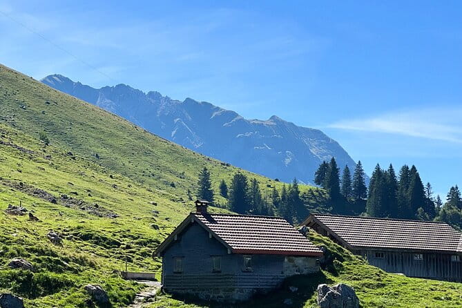 Grindelwald, Lauterbrunnen & Brienz from Zurich - Exploring the Scenic Highlights