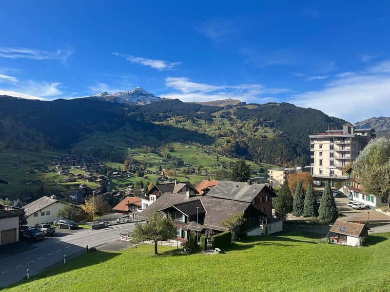Grindelwald Private Walking tour - Key Points / Takeaways