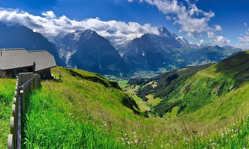 Grindelwald Private Walking tour - Who Should Consider This Tour?