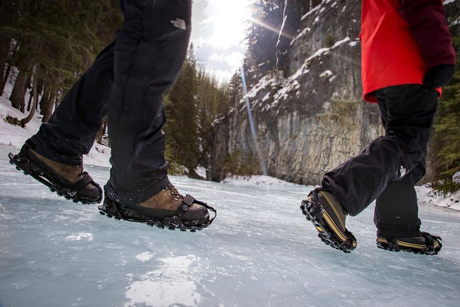 Grotto Canyon Icewalk - Additional Tour Information