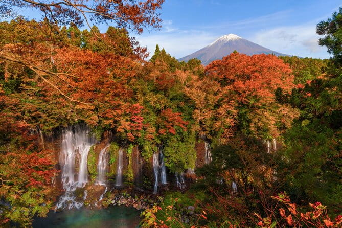 Group 1 Day Tour of Mt. Fuji and Hakone: Onsen, Arts, and Nature - Inclusions and Exclusions