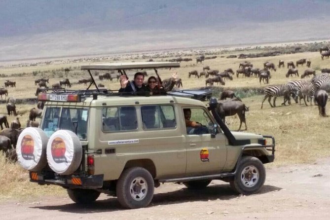 Group Safari 7 Days in Tanzanias Main Parks - Accommodation and Meals