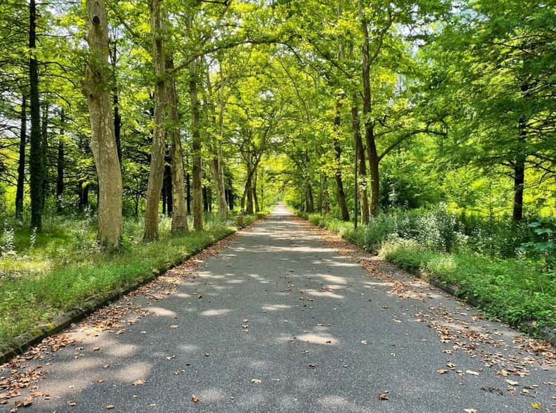 Group tour from Batumi to Kutaisi and Tskaltubo - End of the Day at the Tskaltubo Train Station