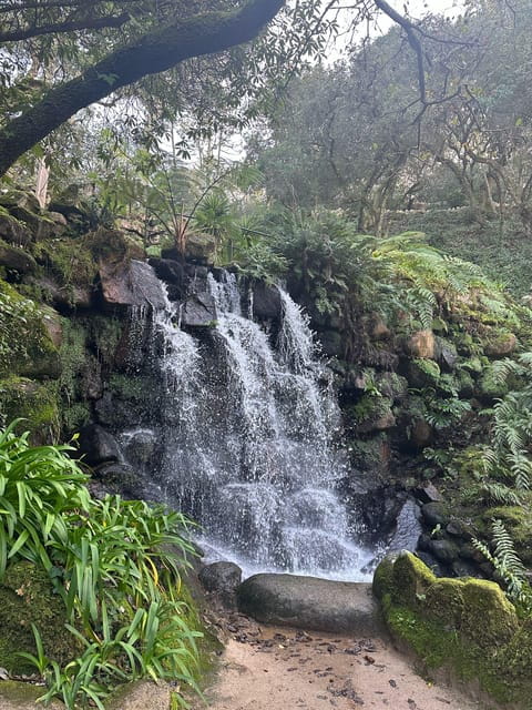 Group Tour Sintra: Highlights, Coastline and Cascais - The Coastal Town of Cascais & End of Tour