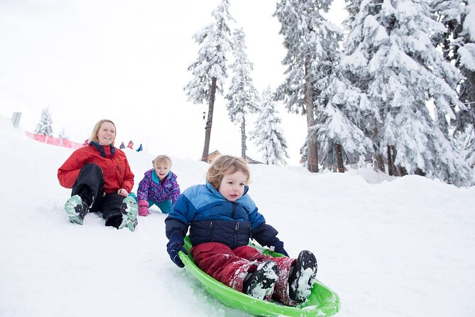 Grouse Mountain Admission Ticket - Wildlife Viewing and Nature Exploration