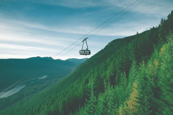 Grouse Mountain Admission Ticket - Family-Friendly Shows and Activities