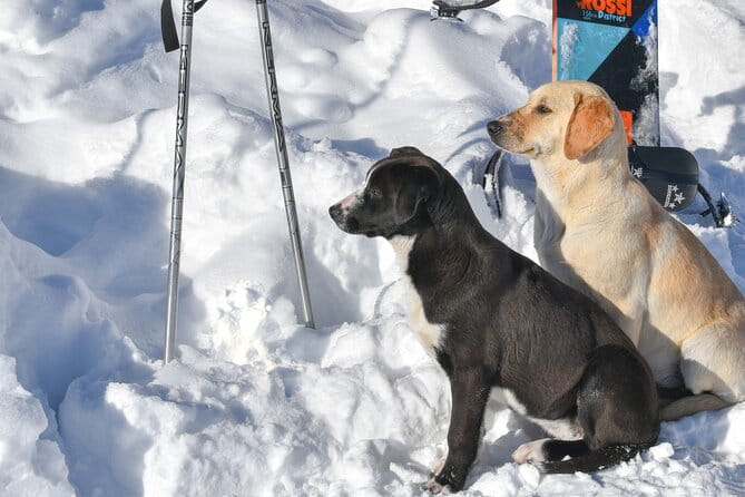 Gudauri Adventures - One Day Private Tour to Gudauri Ski Resort - Who Should Consider This Tour?