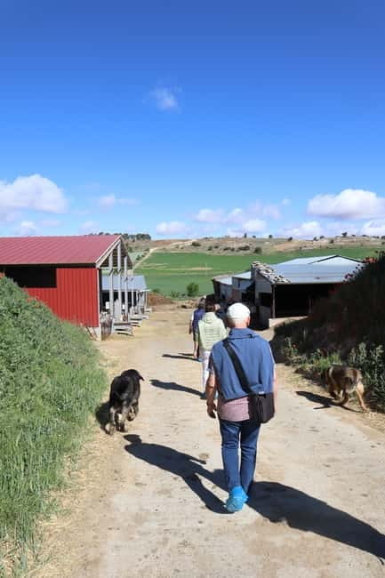 Guide Visit to the old Cheese Factory - FAQ About La Antigua Cheese Factory Tour