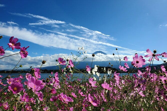 Guided 2 Days Mt. Fuji and Hakone Tour GREEN NUMBER PLATES - Cancellation and Reservation Policy