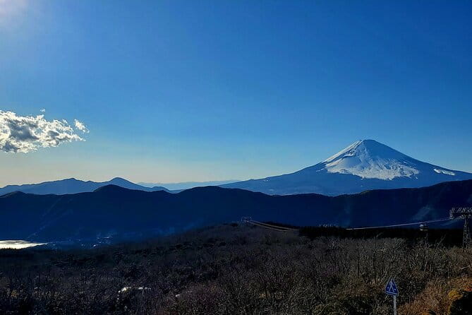 Guided 2 Days Tour Tokyo ,Mt Fuji and Hakone GREEN NUMBER PLATES - Inclusions and Amenities for a Comfortable Journey